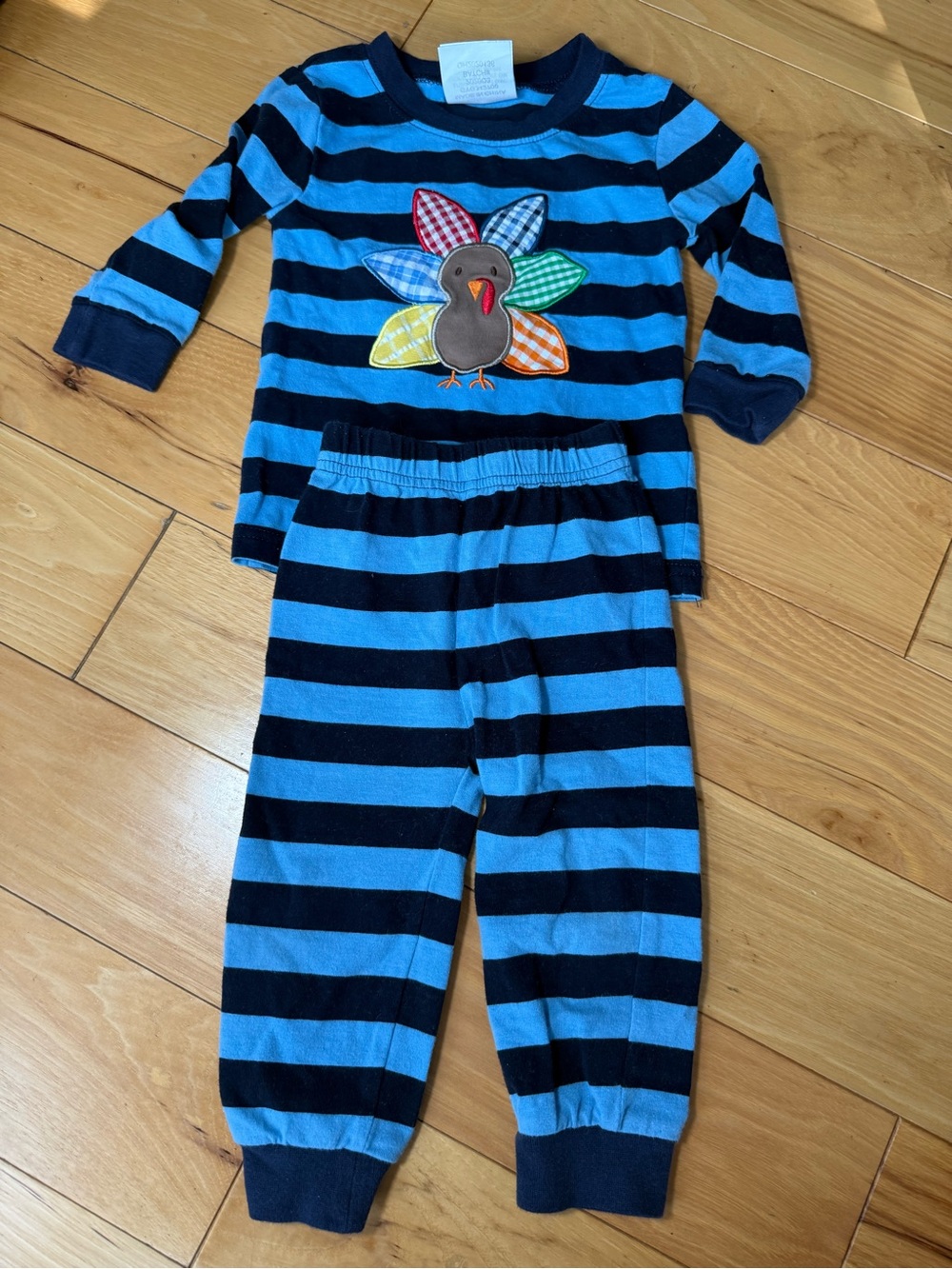 Classic Whimsy Blue & Navy Striped Pajama Set with Turkey Applique